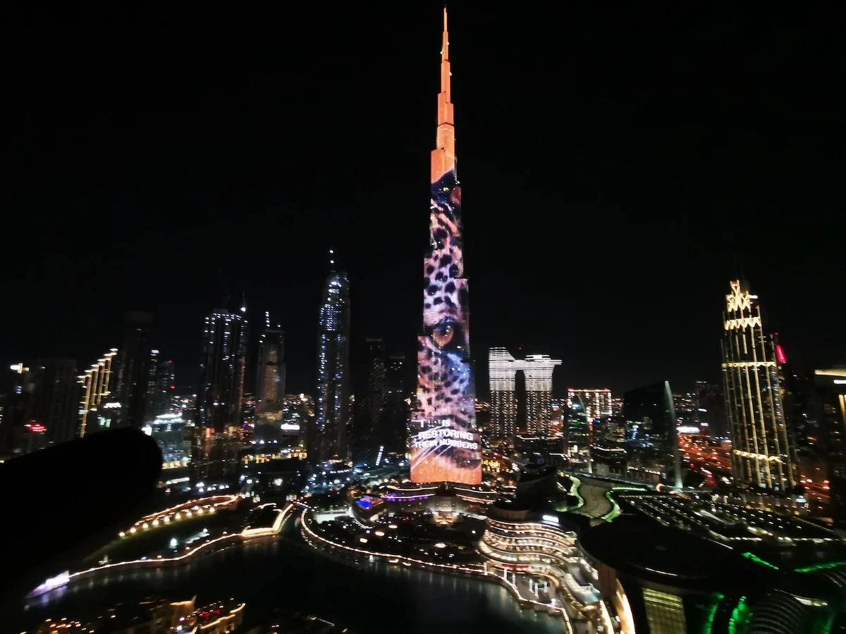 An image of the Arabian Leopard is projected onto the Burj Khalifa in Dubai on Feb.10 in a bid to raise awareness of the endangered big cat. (Supplied)