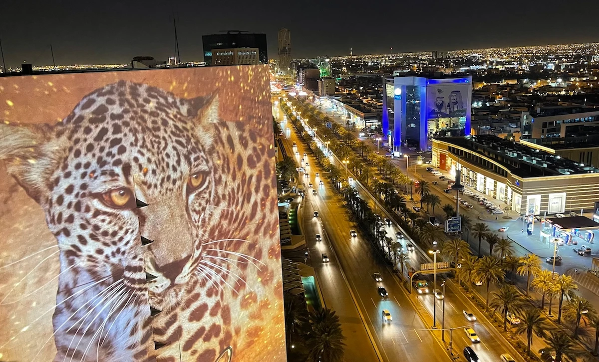An image of the Arabian Leopard is projected onto the King Faisal Foundation building in Riyadh on Feb.10 in a bid to raise awareness of the endangered big cat. (Supplied)