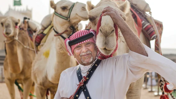 Camel Parade