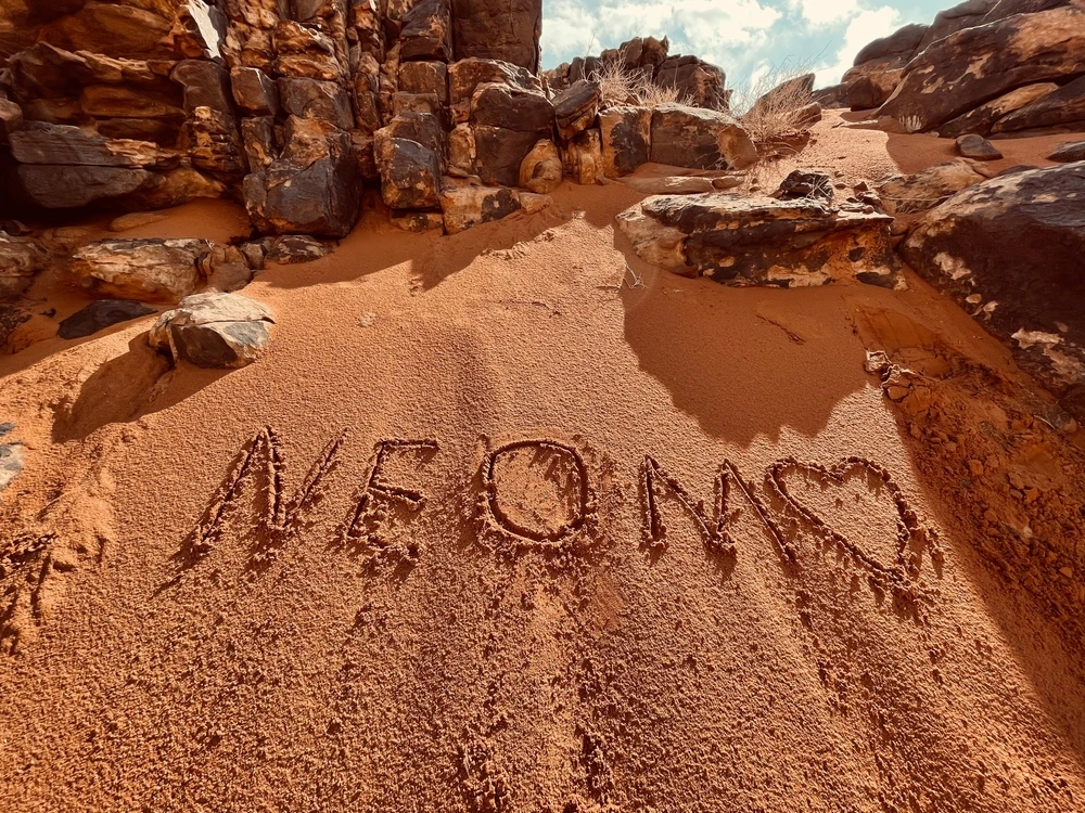 NEOM to produce over 600,000 tons of sustainable food to help achieve Saudi self-sufficiency