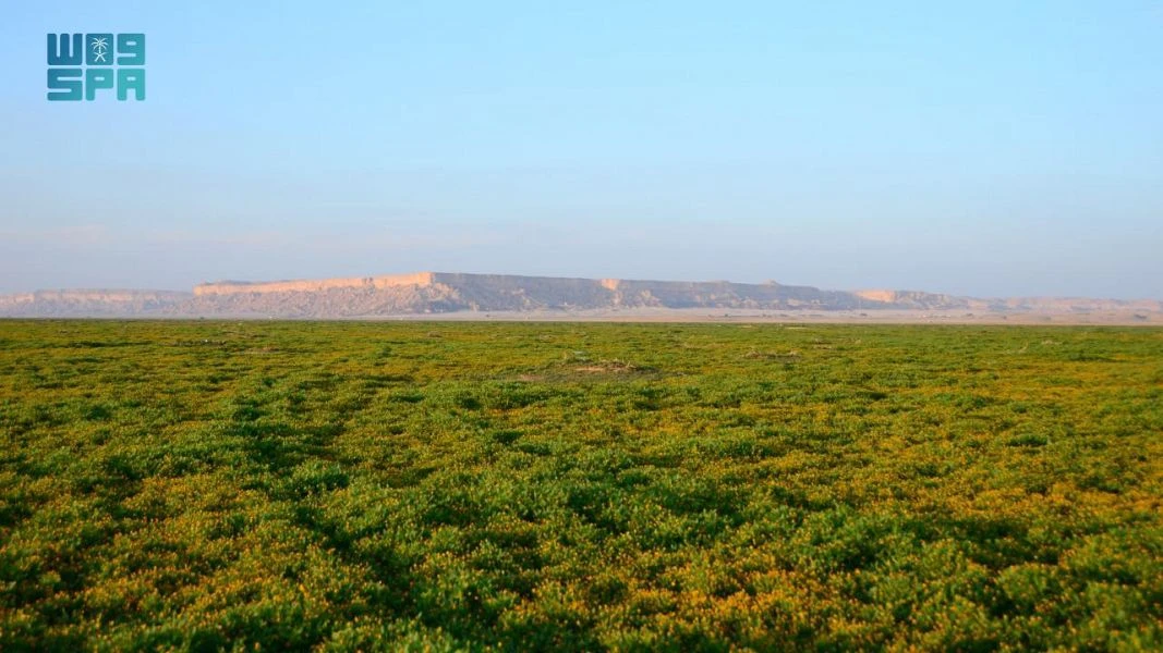 Saudi Arabia’s King Abdulaziz Royal Reserve signs contracts to build two ecotourism resorts
