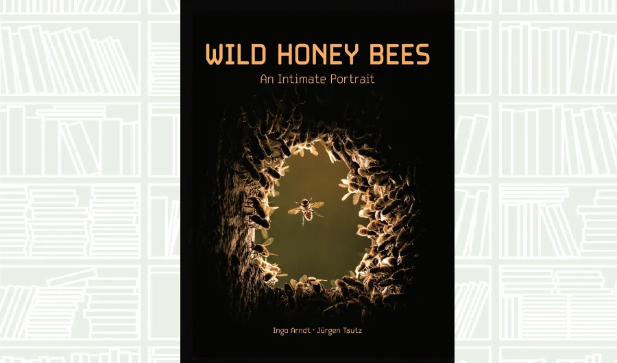 What We Are Reading Today: Wild Honey Bees: An Intimate Portrait