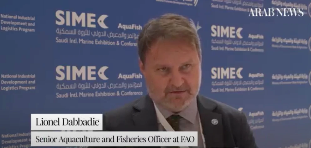 UN: Technology, environment and business key to kickstarting Gulf fisheries