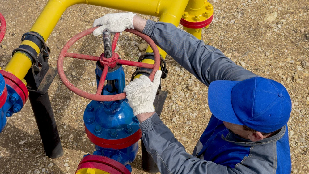 Europe will run out of gas in six weeks if Russian imports blocked: Wood MacKenzie