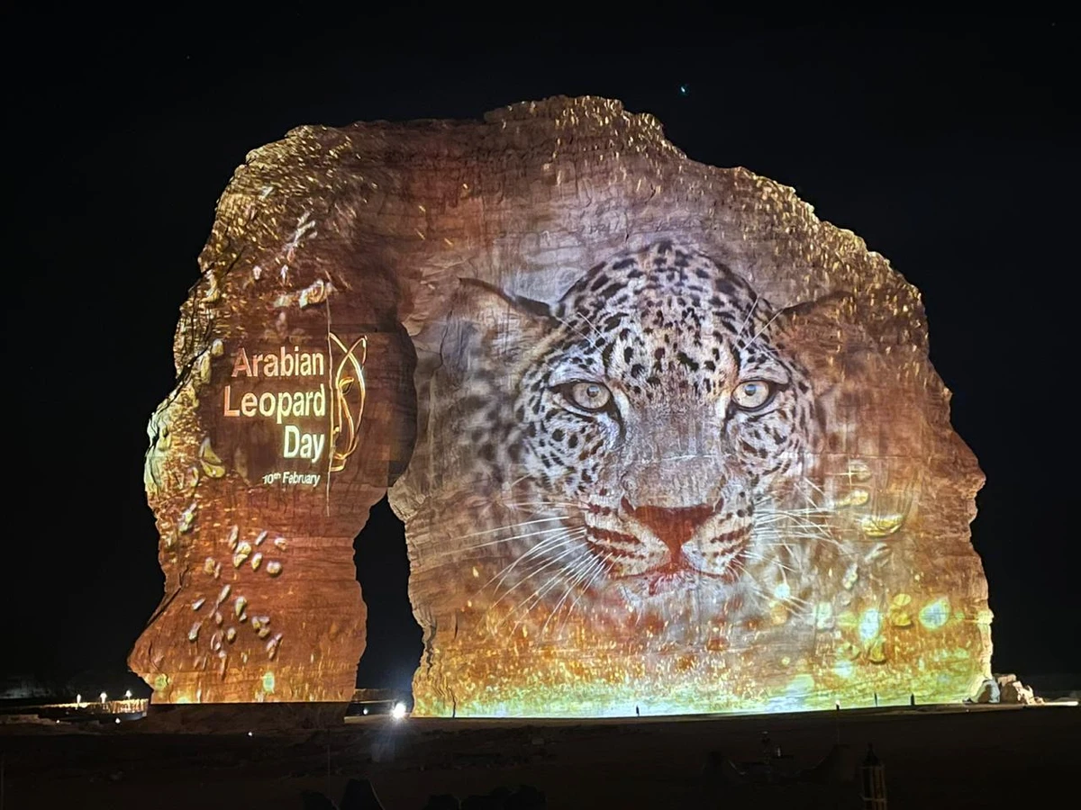 Saudi Arabia celebrates Arabian Leopard day
