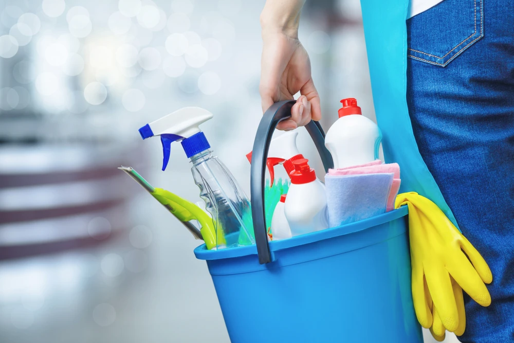 Foreign domestic worker recruitment up 16% in Saudi Arabia: official statistics