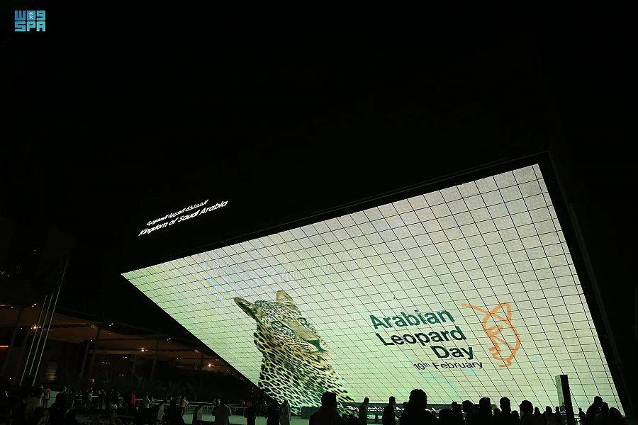 Saudi pavilion shows film about Arabian leopard at Dubai Expo 2020