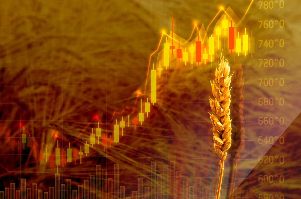 Ukraine-Russia conflict fears drive up wheat prices amid supply concerns