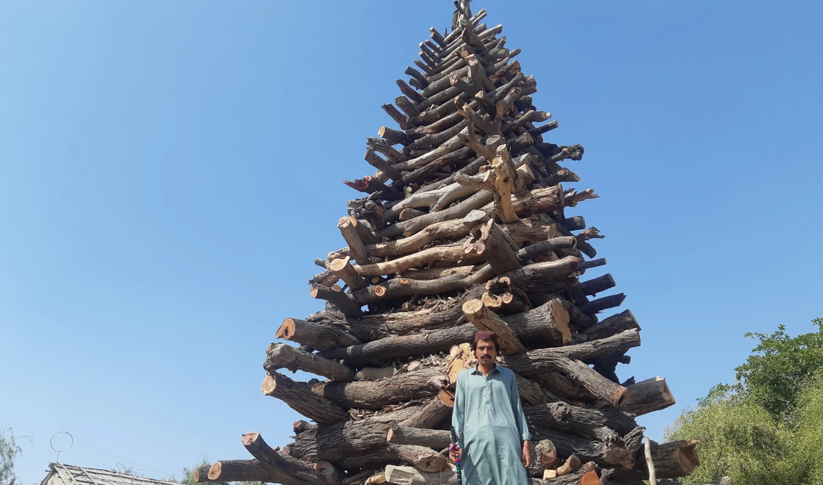 A tower of wood is built near Bahram Bari Junejo’s shrine in Sanghar district of Sindh province in Pakistan ahead of the Machh bonfire ritual on February 15, 2022. (AN Photo by Zulfiqar Kunbhar)