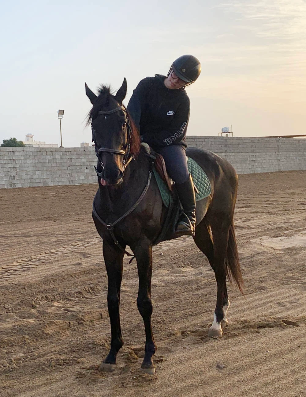 Young Saudi rides to the rescue of neglected racehorses