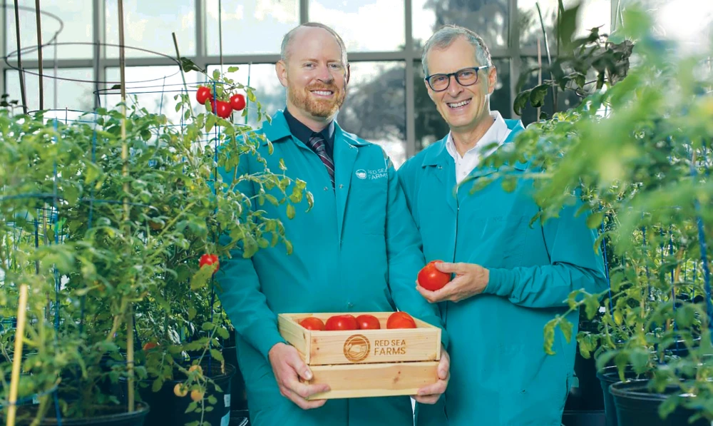 Red Sea Farms was established in 2018 with a vision to reduce food insecurity, carbon and freshwater use in the global and Gulf food sectors. (Supplied)