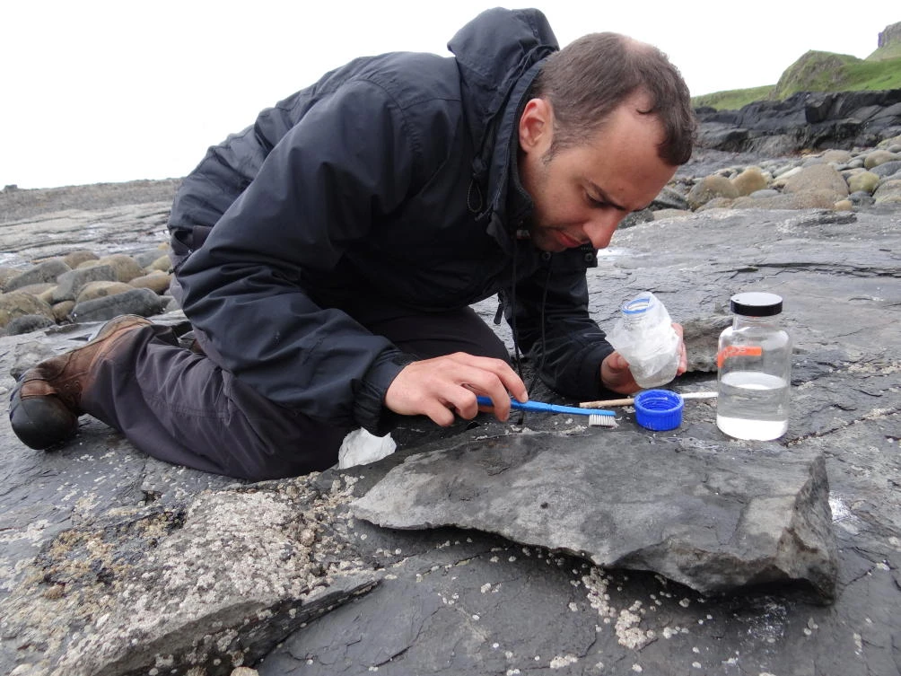 ‘Superbly preserved’ pterosaur fossil unearthed in Scotland