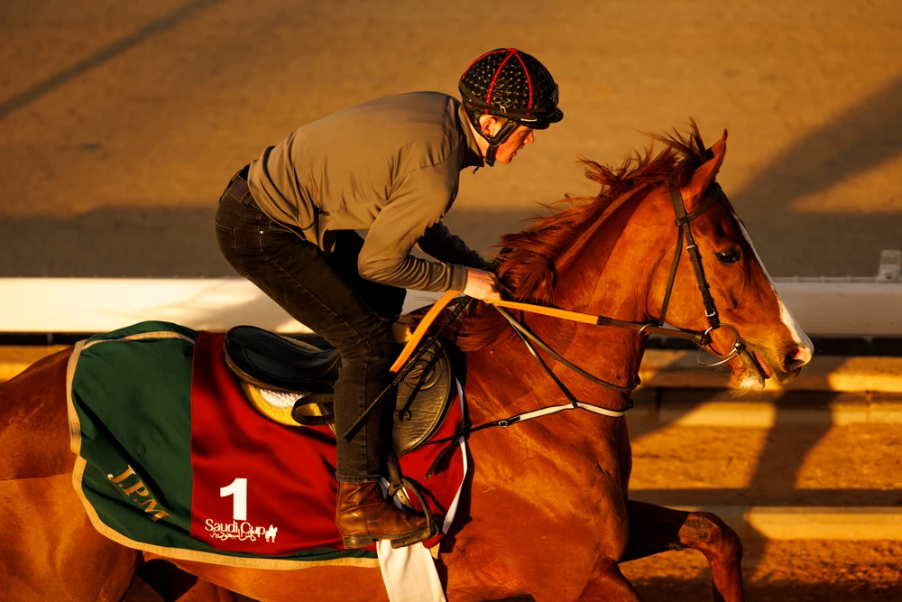 Johnny Murtagh hopes to lead Sonnyboyliston to more success in Riyadh