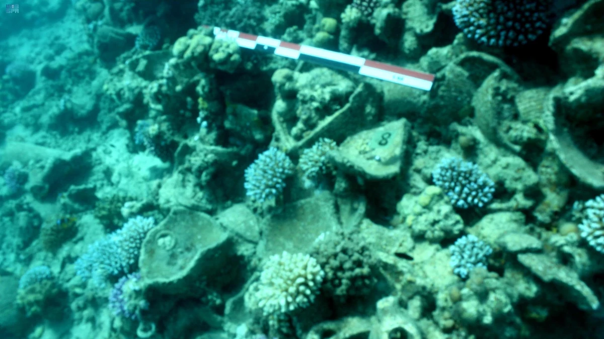 A Saudi archaeological mission discovered hundreds of antique pieces that were part of a sunken ship in the Red Sea, about 300 meters from the coast of Haql (Northwest of Saudi Arabia). (SPA)