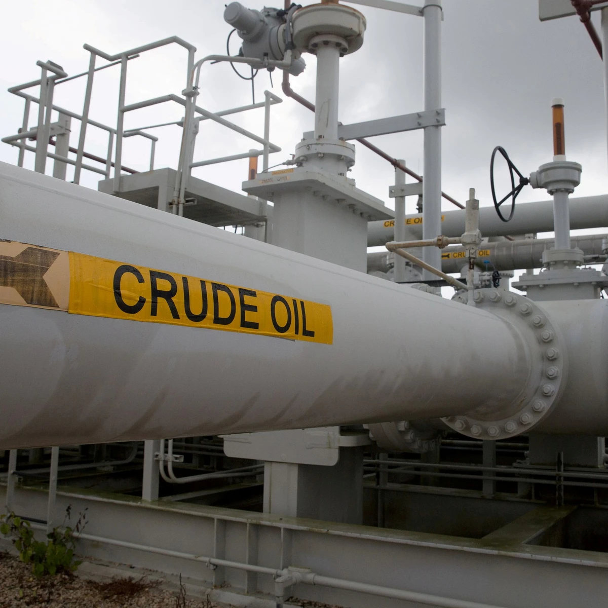 OPEC+ trims 2022 oil market surplus forecast