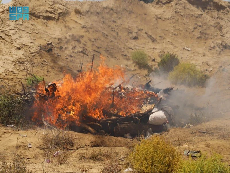 Yemeni authorities destroy large quantities of hashish, pills linked to Houthi gangs in Hajjah