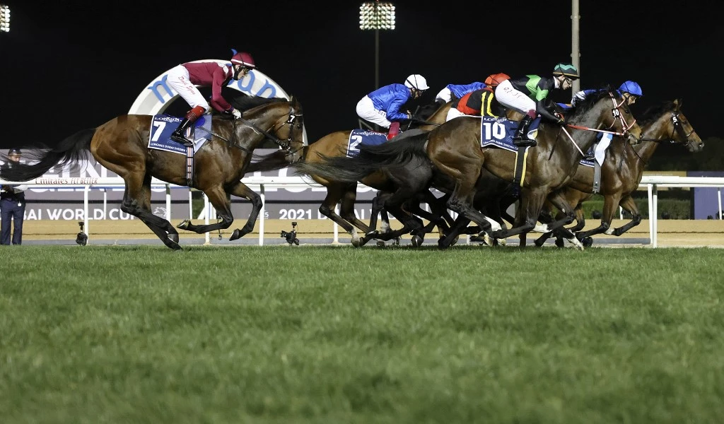 There are nine races, eight of which are preps for course and distance events on the World Cup card and more than $2.3 million in prize money. (File/AFP)