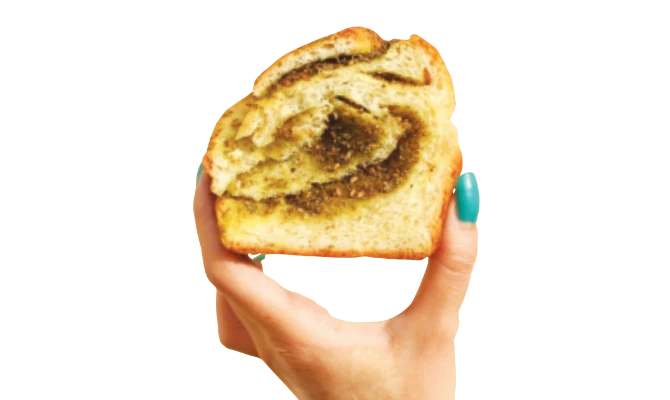 Where We Are Going Today: Babkati