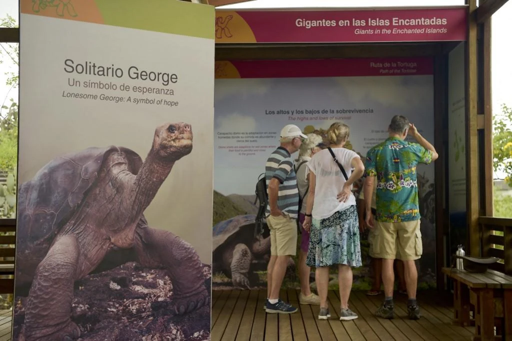 New giant tortoise species found in Galapagos after DNA study