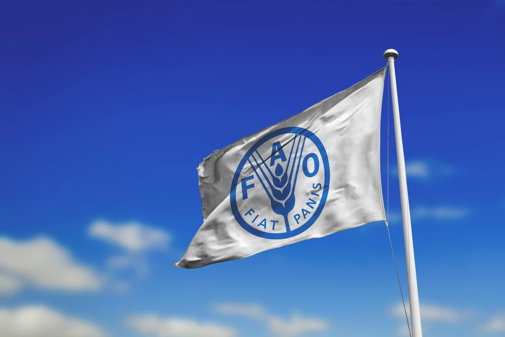 The FAO said it was not clear whether Ukraine would be able to harvest crops if the war dragged on (Shutterstock)
