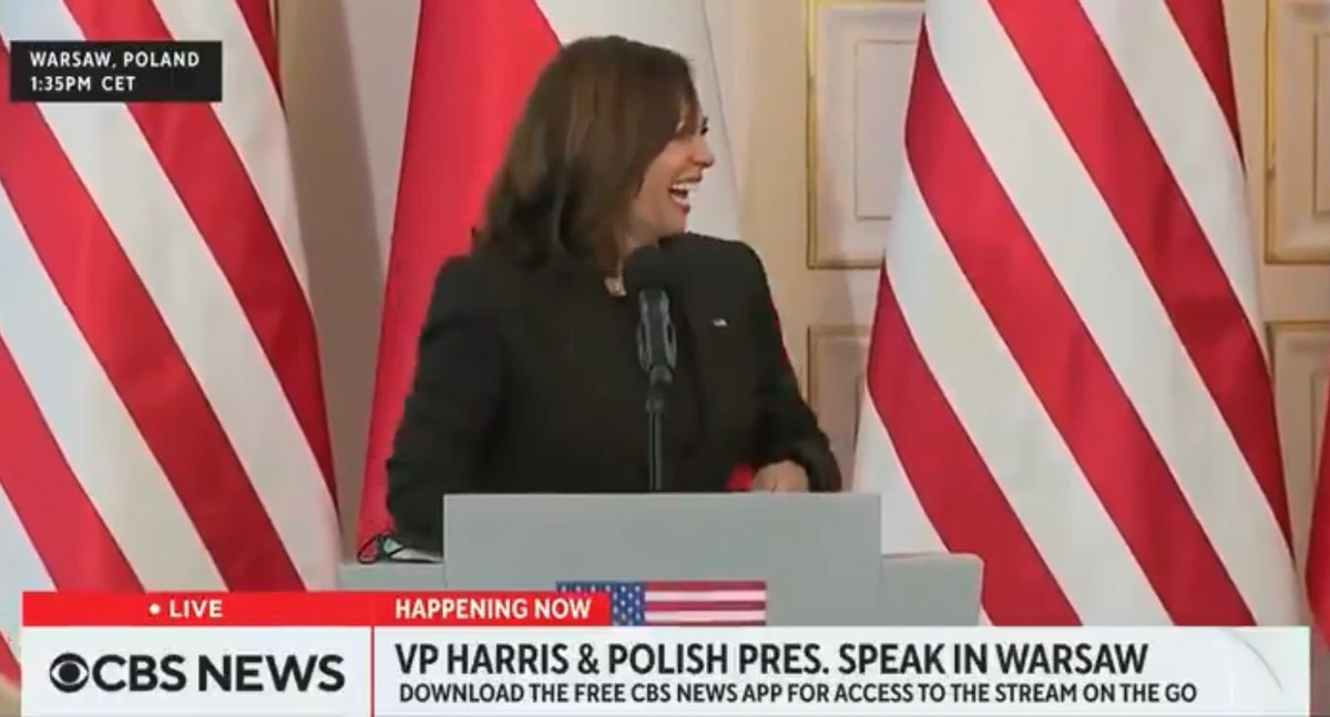Viewers took to social media to criticize Harris for what was seen as an insensitive reaction to a serious subject. (Screenshot)