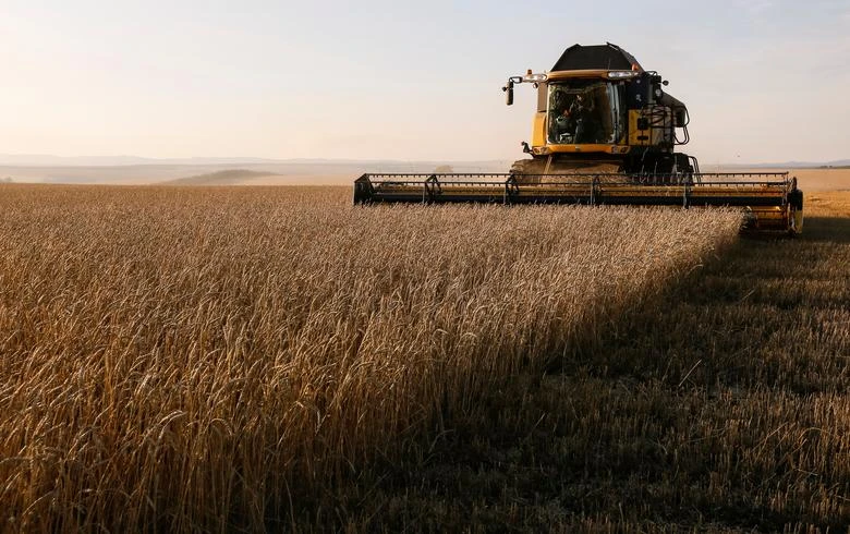 Russia may suspend grain exports until June 30: Interfax