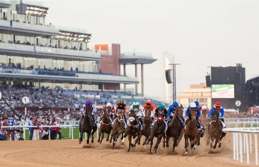 There would be nineraces at the Dubai World Cup meeting on Saturday, March 26. (Twitter: @DubaiWorldCup)