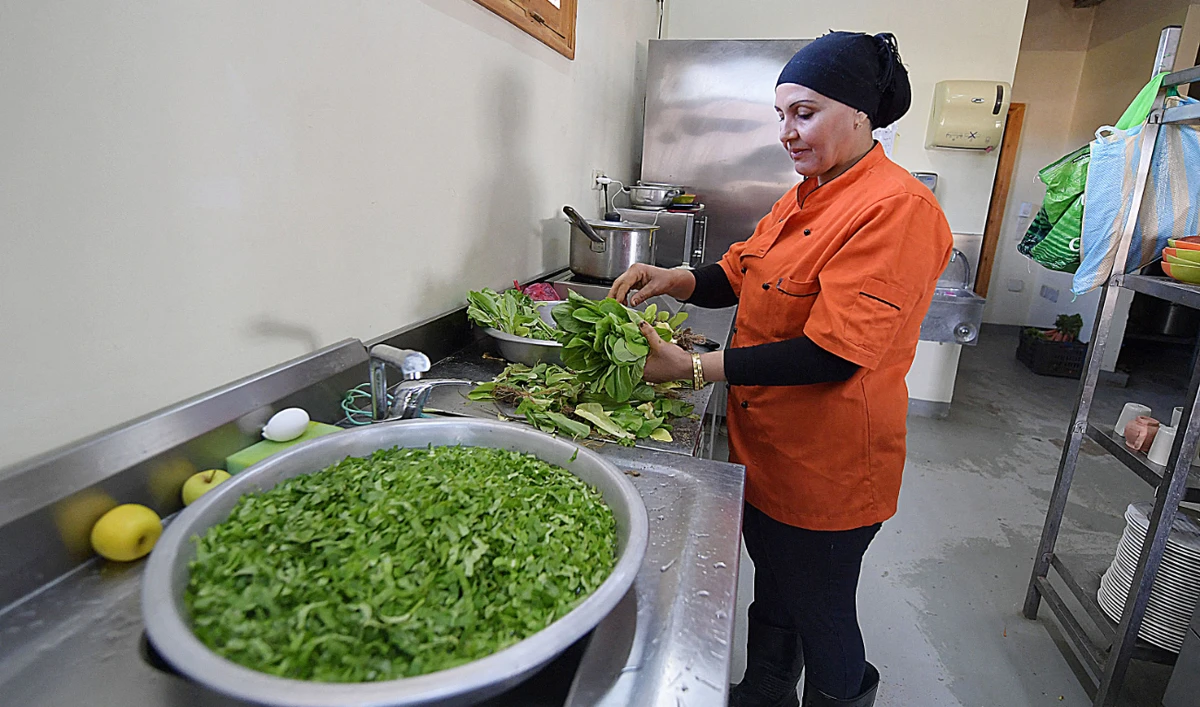 Chef Najah Ameur prepares a salad from vegetables grown in their premises at Dar Hi hotel in the remote Nefta oasis, a seven-hour drive from Tunis. (AFP)