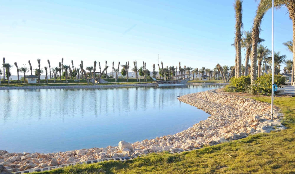 Saudi Arabia participates in 9th World Water Forum