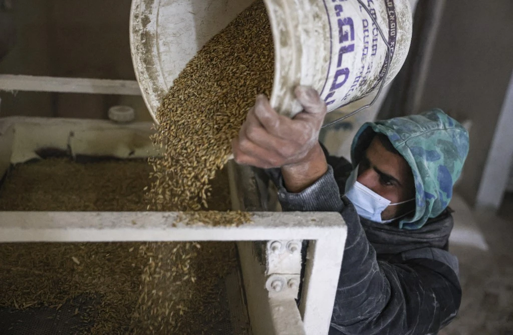 Wheat gained ground as expectations of a prolonged Russia-Ukraine conflict heightened concerns over global supplies. (File/AFP)