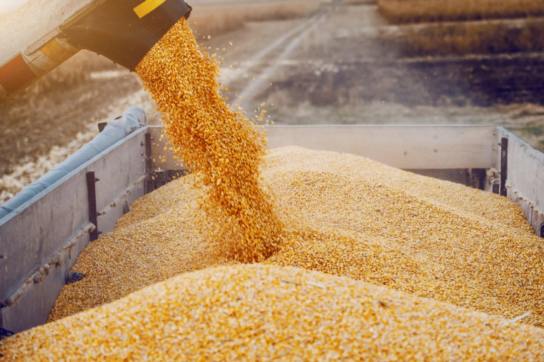 Bahri to complete $110m grain JV by 2023