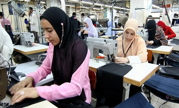 The fund aims to invest in small and medium-sized companies in Egypt. File