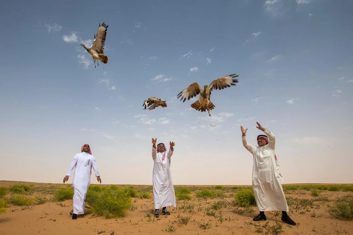 Dr. Mohammad A. Qurban, Prince Mutaib bin Fahd bin Faisal Al Saud (center), and Eng. Maher AlGothmiKing Abdulaziz are releasing Houbara in the space of the King Abdulaziz Royal Reserve (north of Riyadh) on Wednesday. (supplied/NCW)
