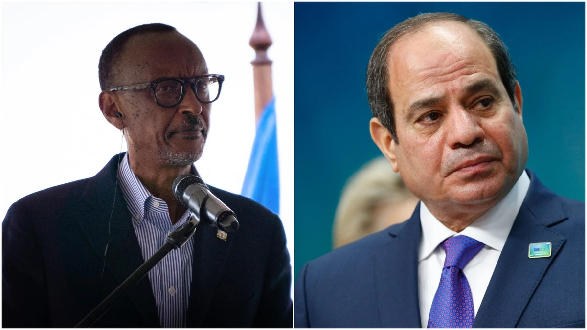 El-Sisi: ‘Progress made in various aspects of bilateral relations’ (FILE IMAGES/AFP)