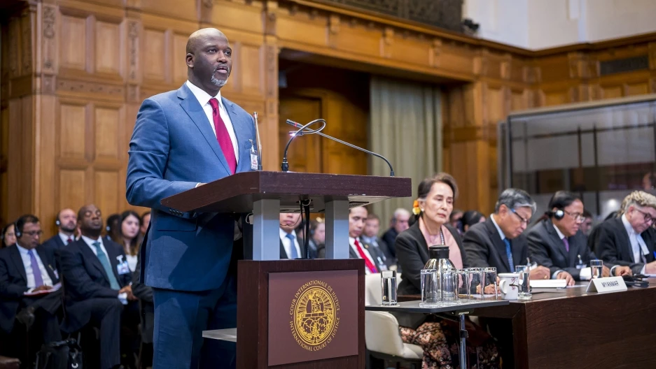 (UN Photo/ICJ-CIJ/Frank van Beek)