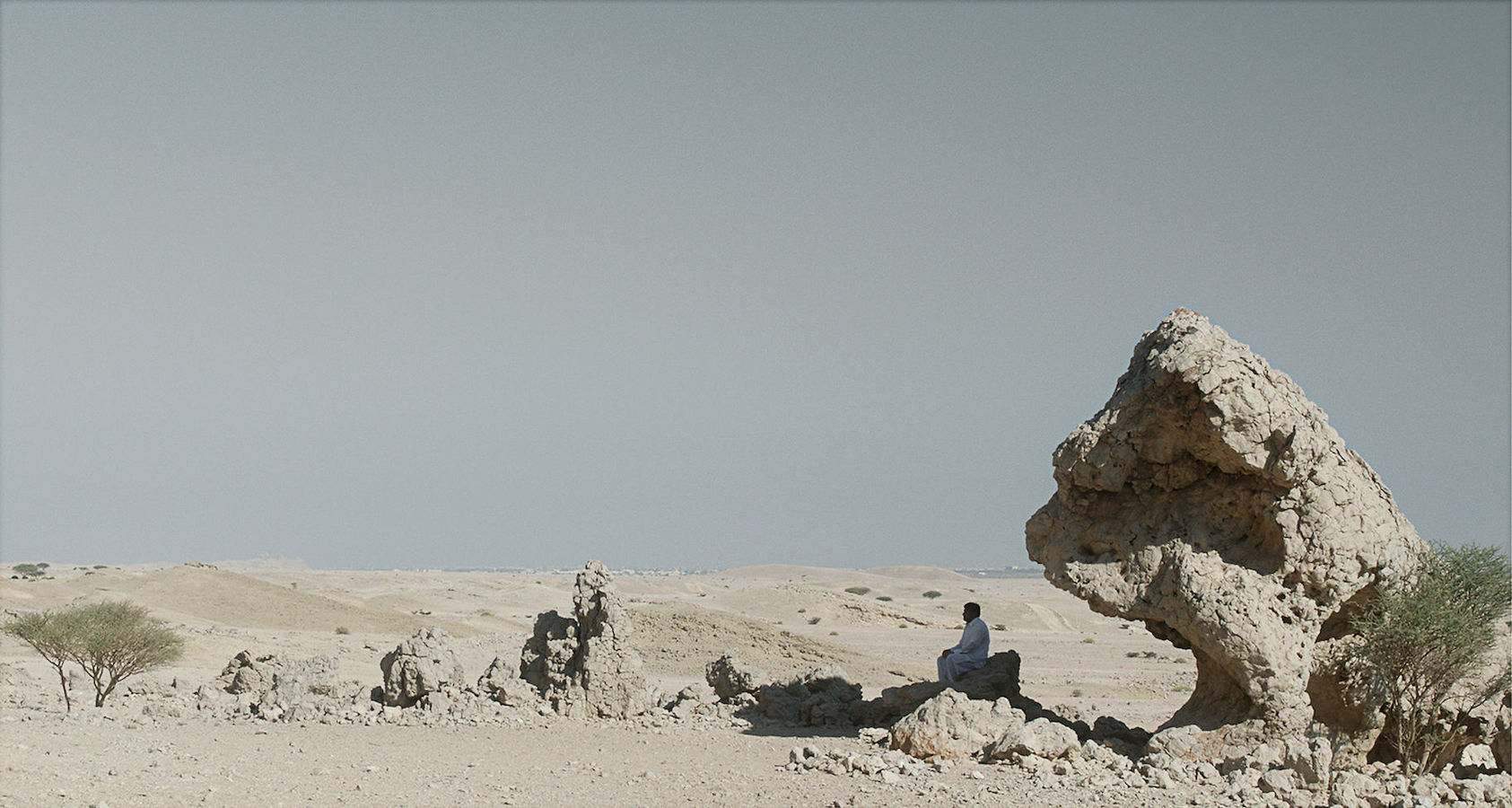 Ali Cherri