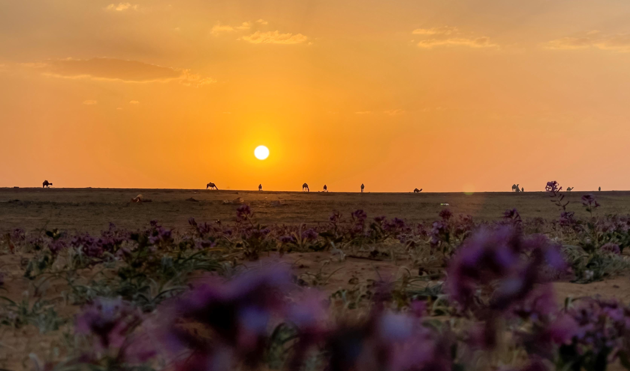 Temperatures may rise by 3C or more by 2090. (SPA)