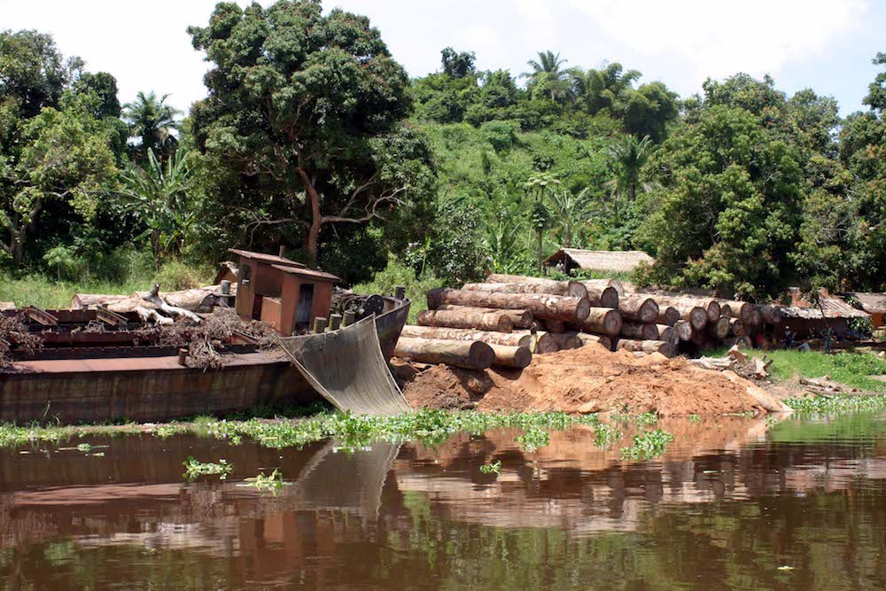 Protecting the Congo Basin could be key to global climate battle