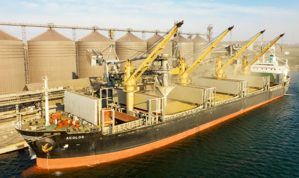 As food protectionism is spreading, many countries have begun to halt the export of essential food items to secure domestic supply amid rising global supply chain concerns. (Shutterstock)