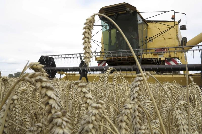 Egypt to supply 6m tons of local wheat worth $1.97bn: Finance Minister