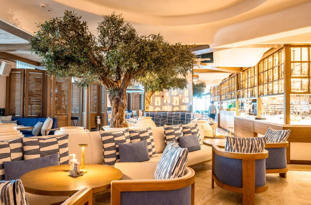 International gastronomic delights at new fine dining restaurants in Saudi Arabia