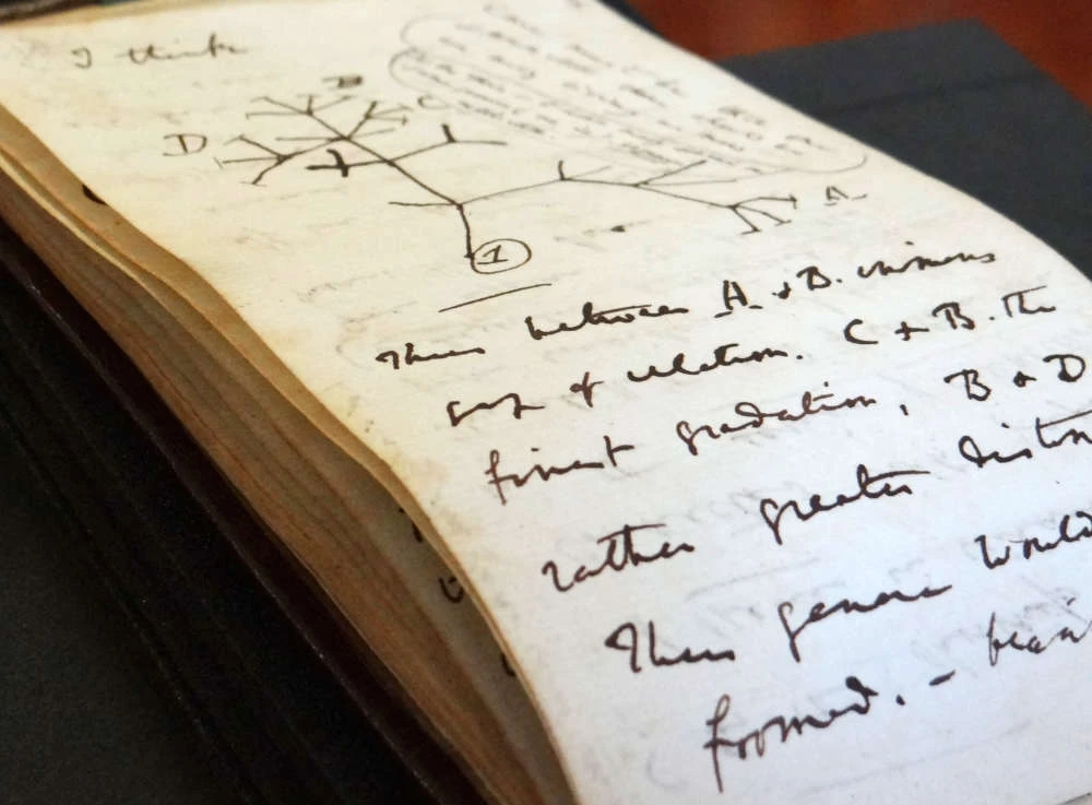 Darwin notebooks missing for 20 years returned to Cambridge