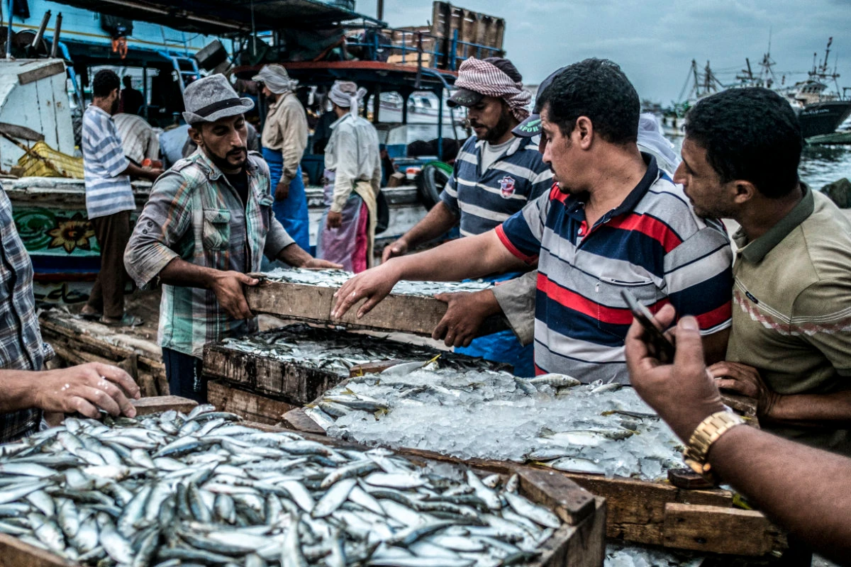 How AI is advancing the Middle East’s goal of sustainable fishing