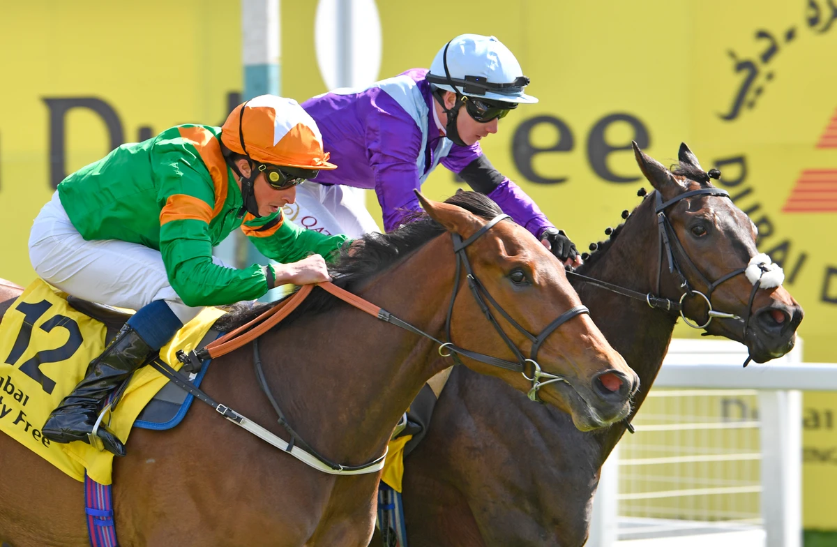 Newbury Racecourse’s season off to flyer with Dubai Duty Free Spring Trials