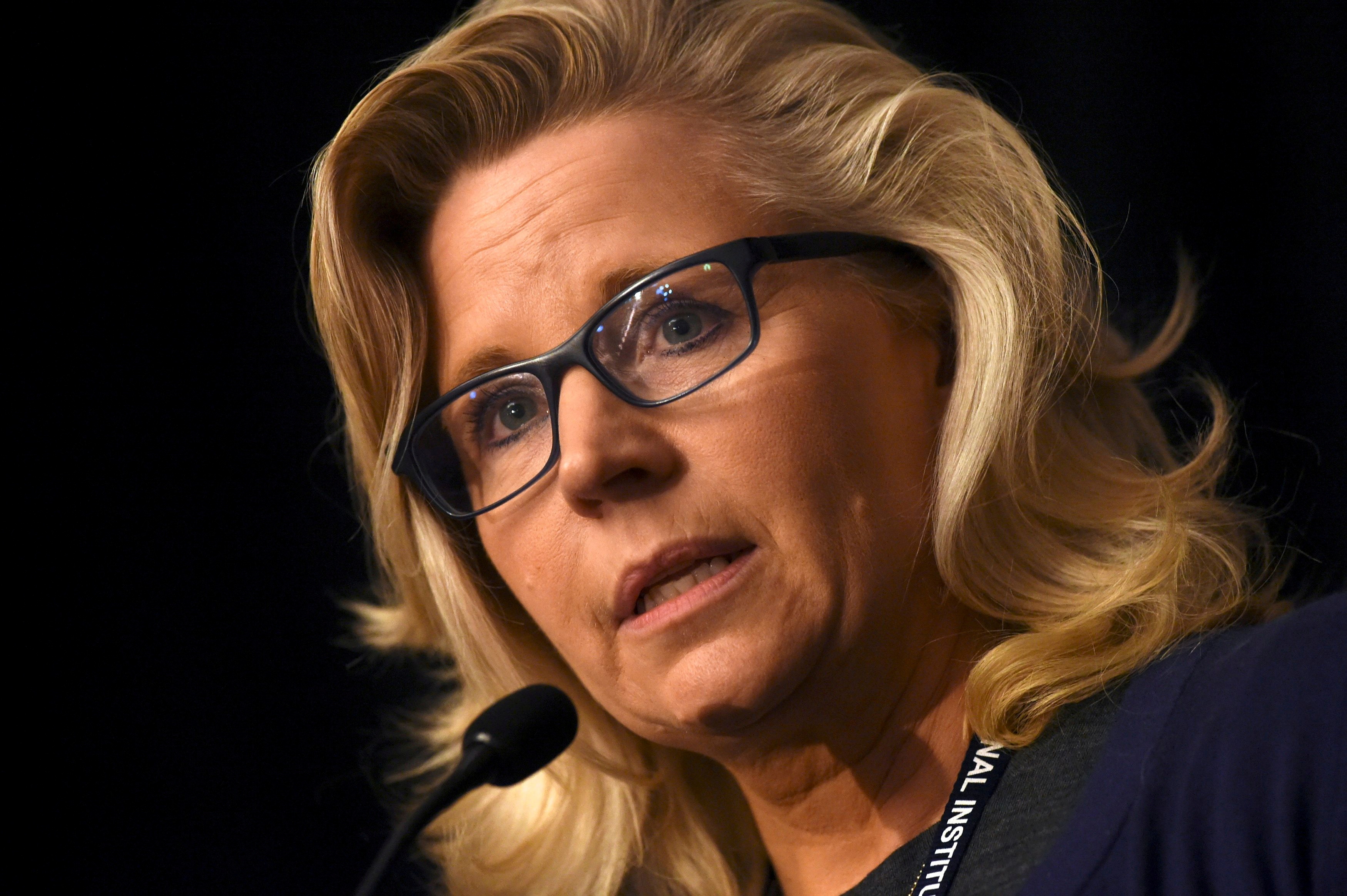 Liz Cheney, Wyoming primary and the fractured US politics