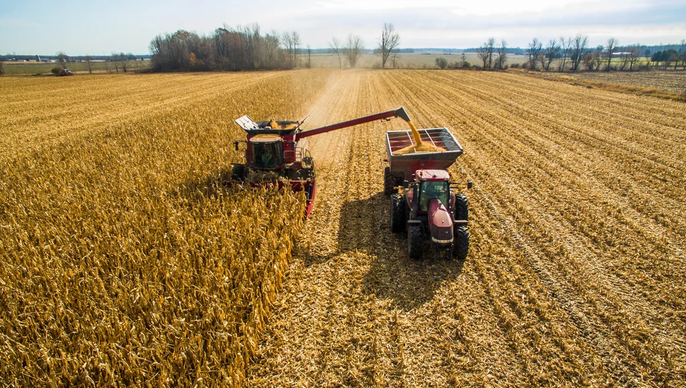 Commodities Update — Corn, soybean futures slide; Malaysia aims to regain palm oil market share