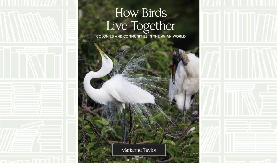 What We Are Reading Today: How Birds Live Together: Colonies and Communities in the Avian World