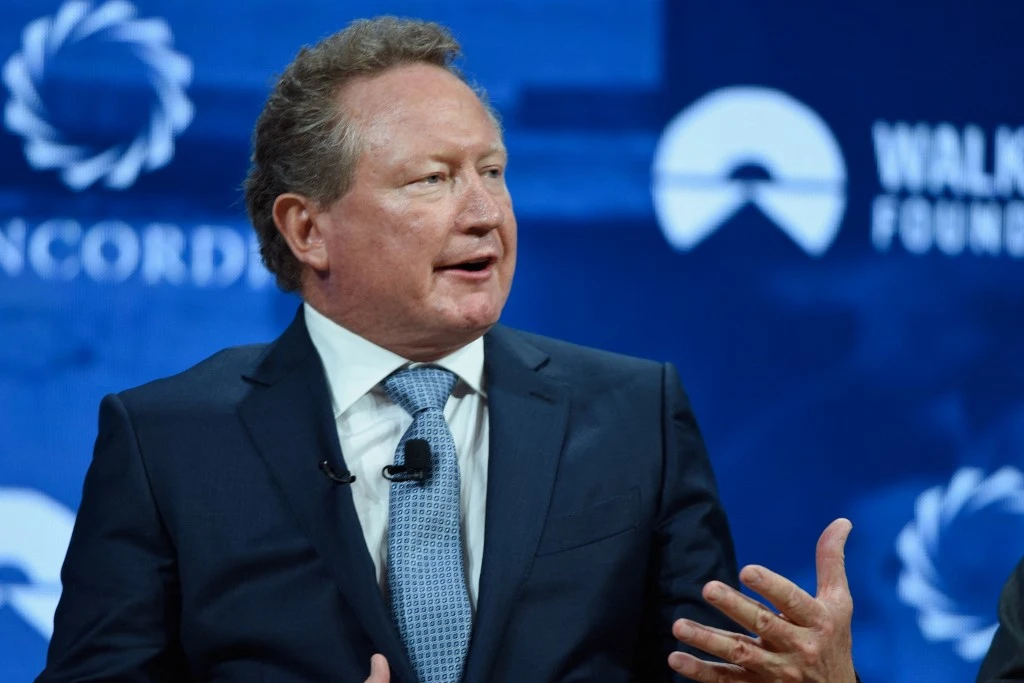Andrew Forrest speaking in 2017 (File/Getty Images via AFP)