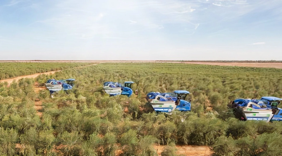 Higher margins drive Al-Jouf Agricultural profit up by 297% in Q1