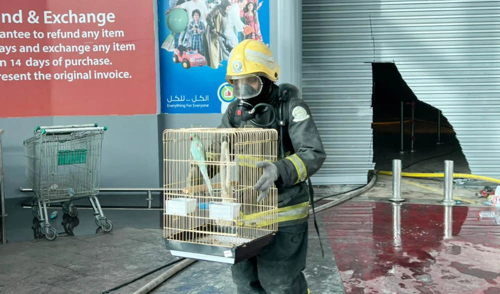 Saudi Civil Defense rescues pet animals trapped in Alkhobar fire